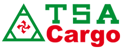 l-tsa
